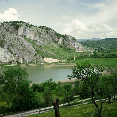 Detached House Milivoje Ξενοδοχείο Poscenje Εξωτερικό φωτογραφία