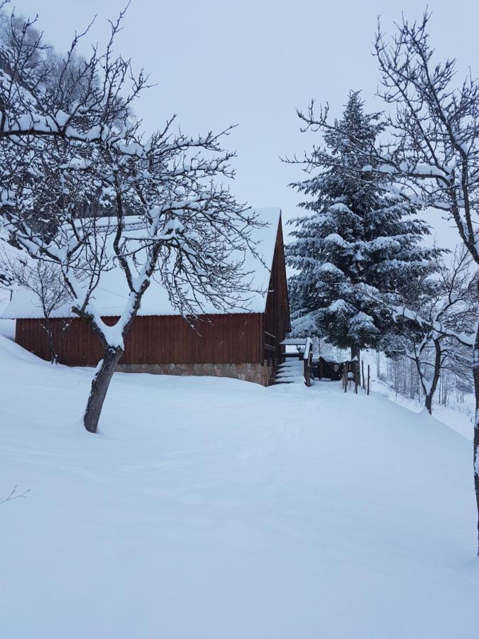Detached House Milivoje Ξενοδοχείο Poscenje Εξωτερικό φωτογραφία