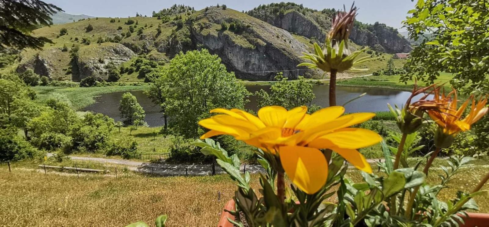 Detached House Milivoje Ξενοδοχείο Poscenje Εξωτερικό φωτογραφία