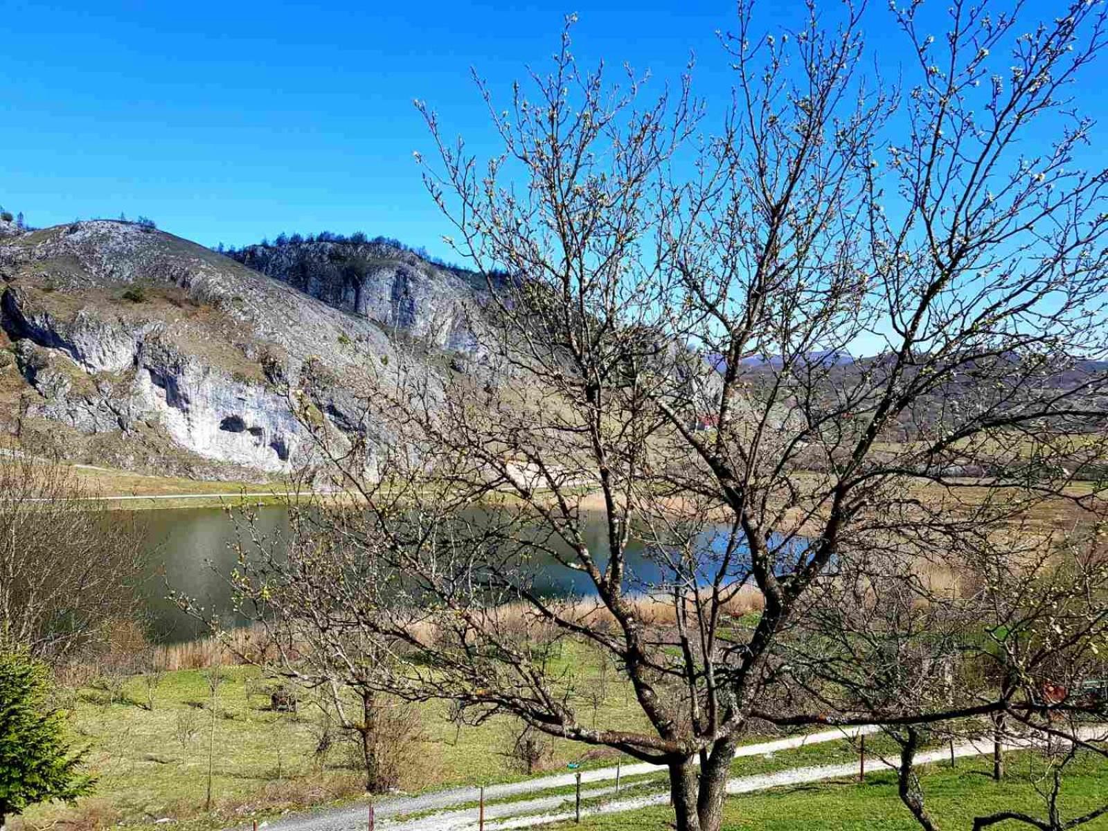 Detached House Milivoje Ξενοδοχείο Poscenje Εξωτερικό φωτογραφία