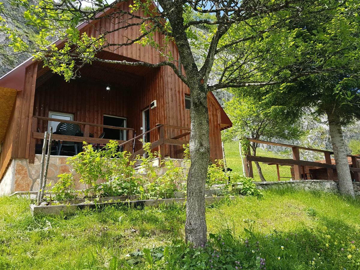 Detached House Milivoje Ξενοδοχείο Poscenje Εξωτερικό φωτογραφία